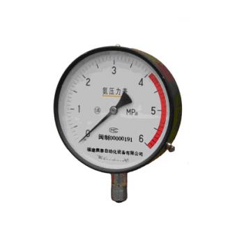 氨气压力表/耐温压力表YTH-100
