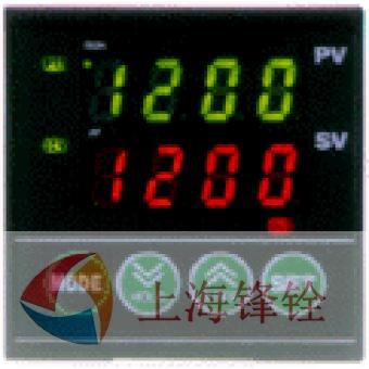 RKC理化 REX-P24 程序温度控制器