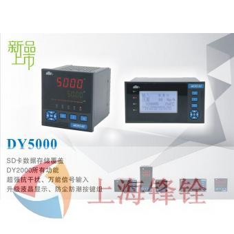 DY5000系列智能仪表