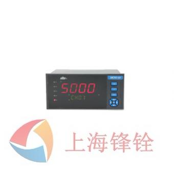 DY5000(D)系列多路巡检控制显示仪表