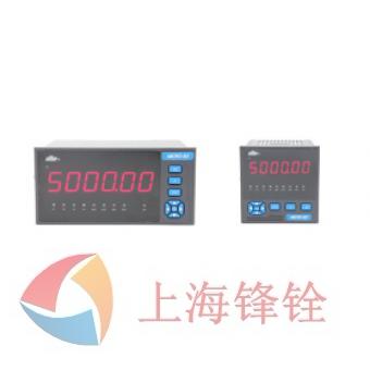 DY5000(RB)系列测力显示仪表