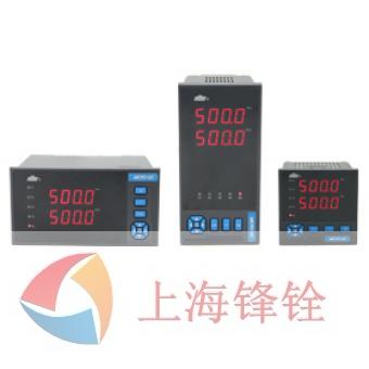 DY5000(WE)系列双通道全分度号显示仪表