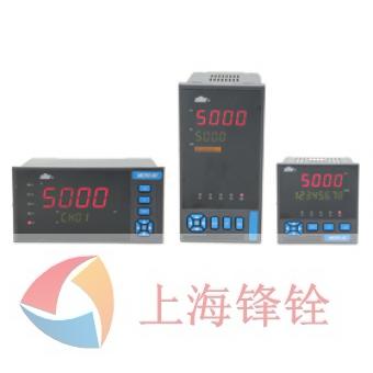 DY5000(Z)系列数字显示仪表
