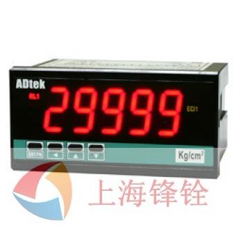 CS1-PR-V1-I-N-A显示仪