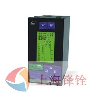 SWP-LCD-NLQ小型单色智能化防盗型热量积算记录仪