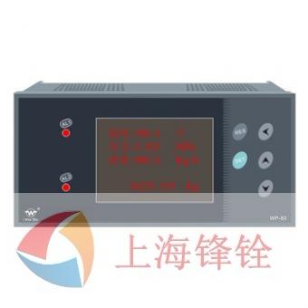 WP防盗型智能流量积算控制仪