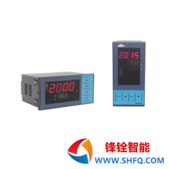 DY2000（EH/GEH）双路给定器