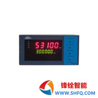 东辉仪表DY2000（MS）多功能计数器