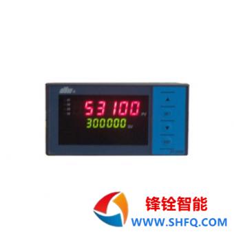 东辉仪表DY2000（MS）多功能计数器